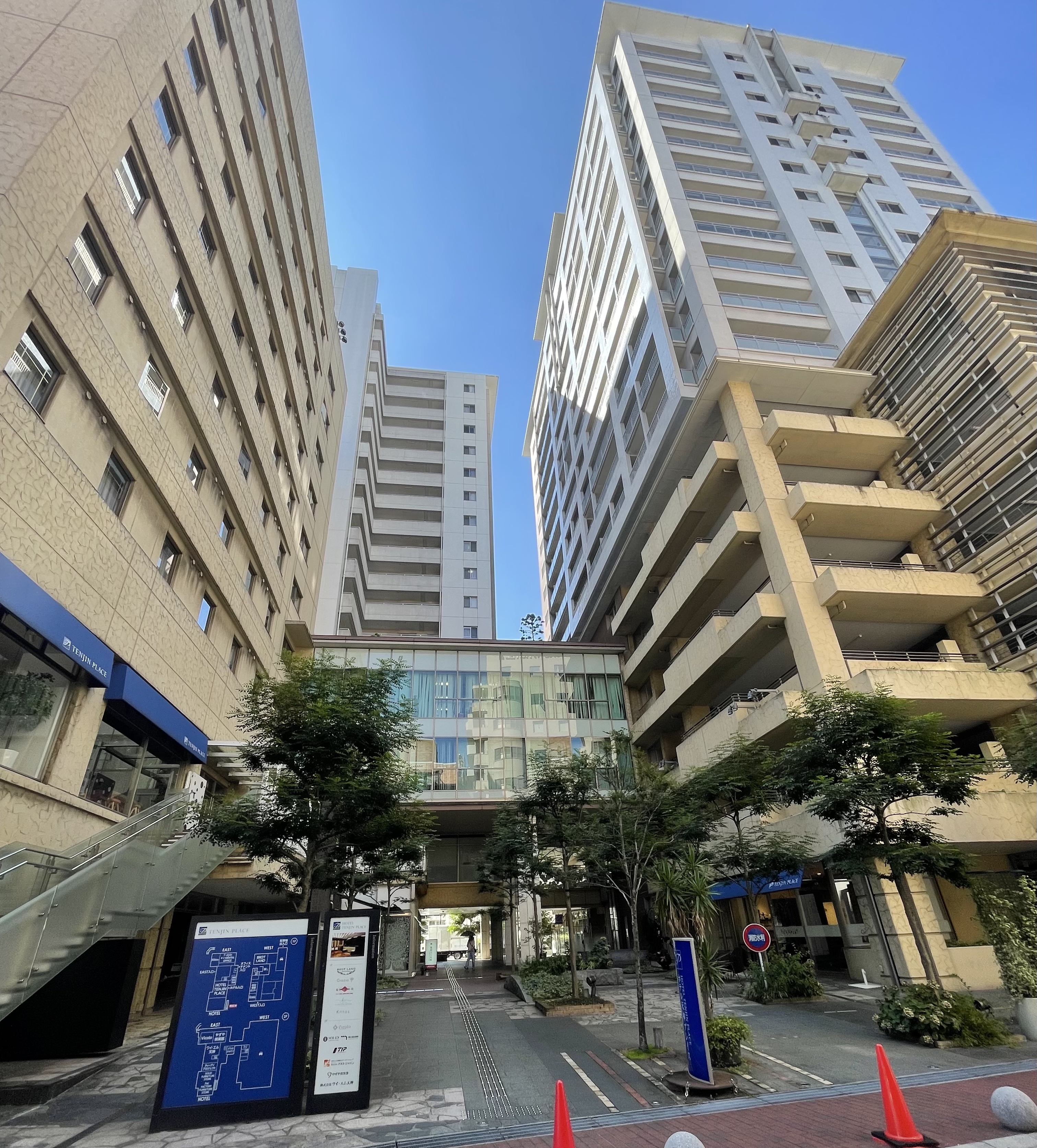 ワイ・エム天神 最新空室状況（2025.12.08)